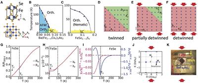 Electronic and Magnetic Anisotropies in FeSe Family of Iron-Based Superconductors